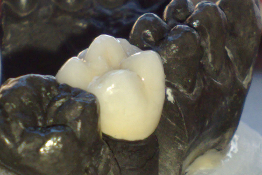 28022011456.jpg