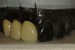 01032011481.jpg